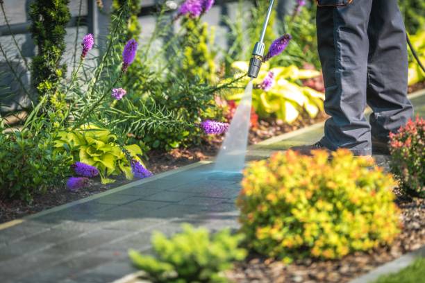 Animal Enclosure Cleaning in Bellbrook, OH